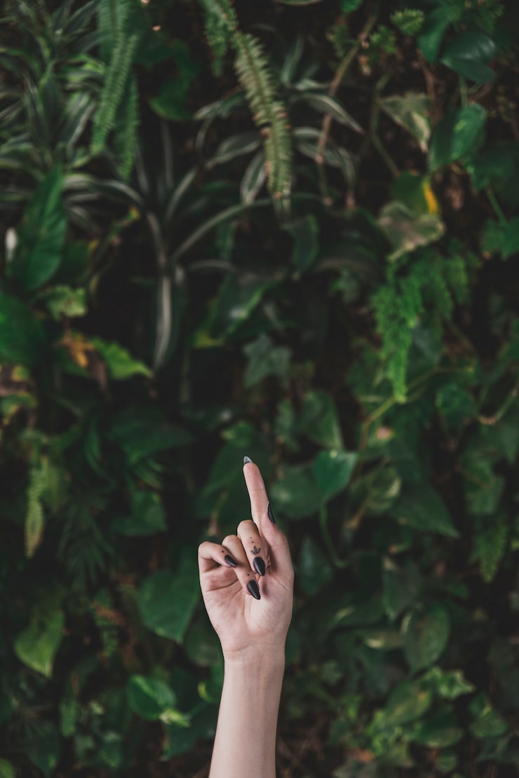 Eminence Organics Marks Success and Unveils Growth Plans at Conference